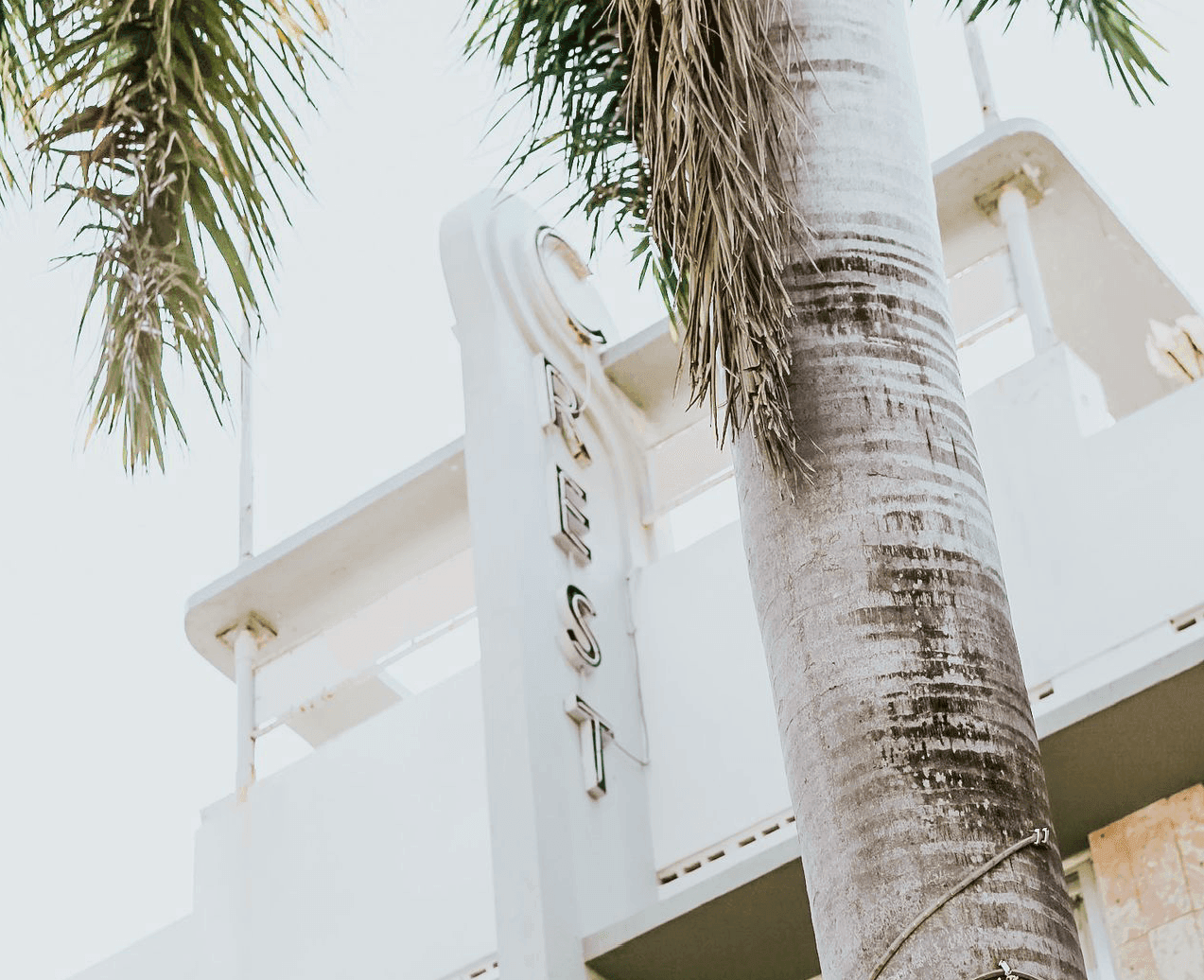 A white building with a sign and a palm tree in front of it.